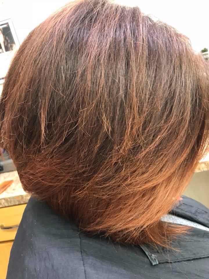 Shear Visions Gallery